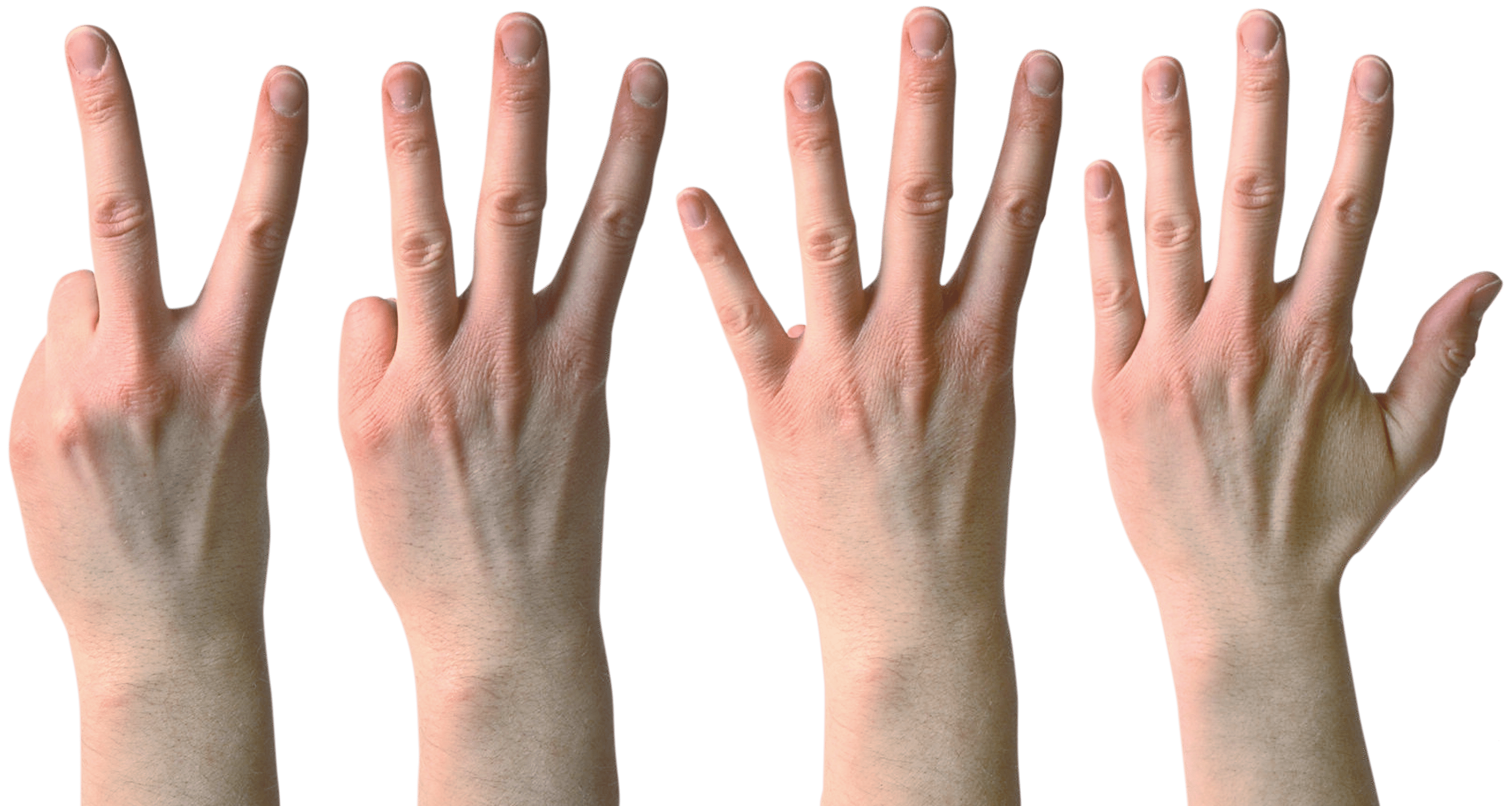 four hands with 2, 3 4, and 5 fingers raised